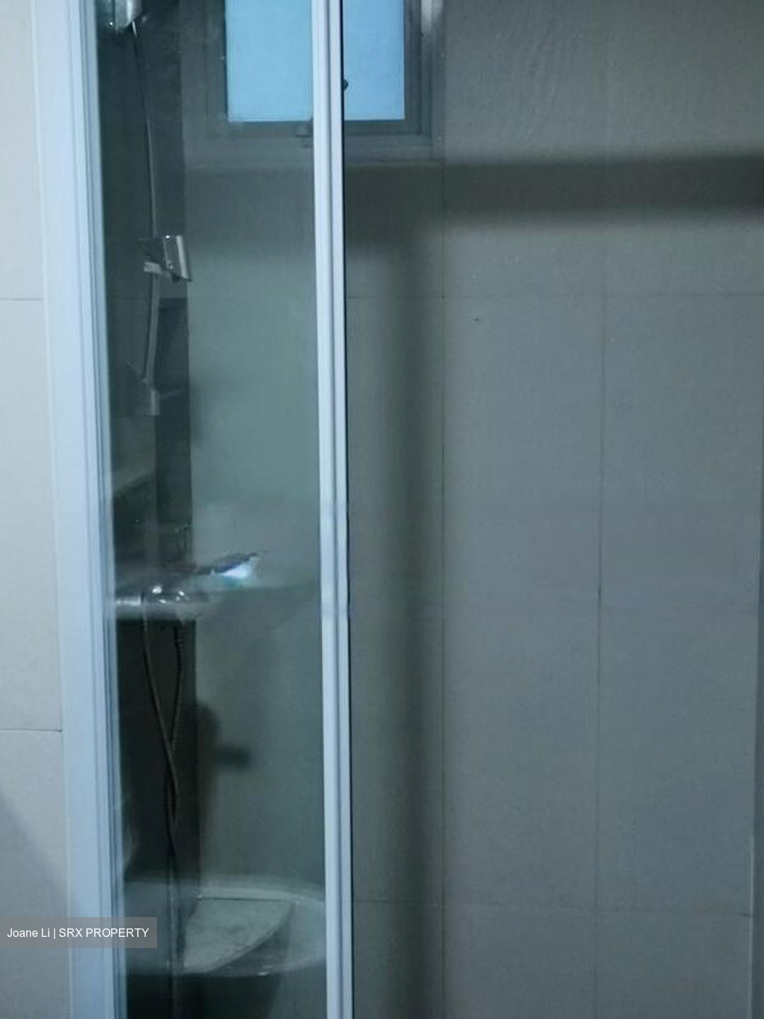 The Raintree (D21), Condominium #578606541